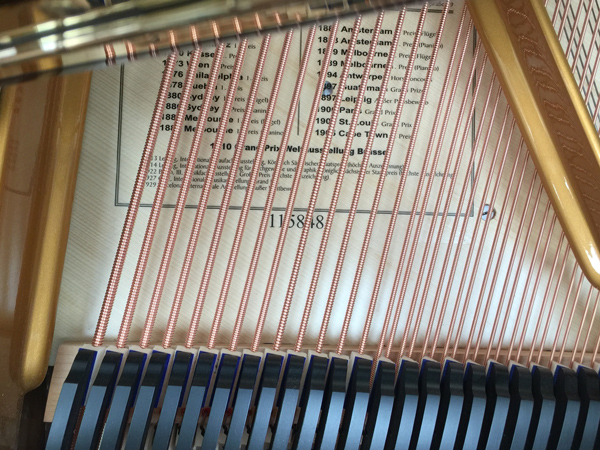 Bluthner Piano Serial Numbers