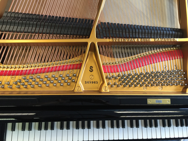 steinway serial number