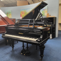 Grand piano hire